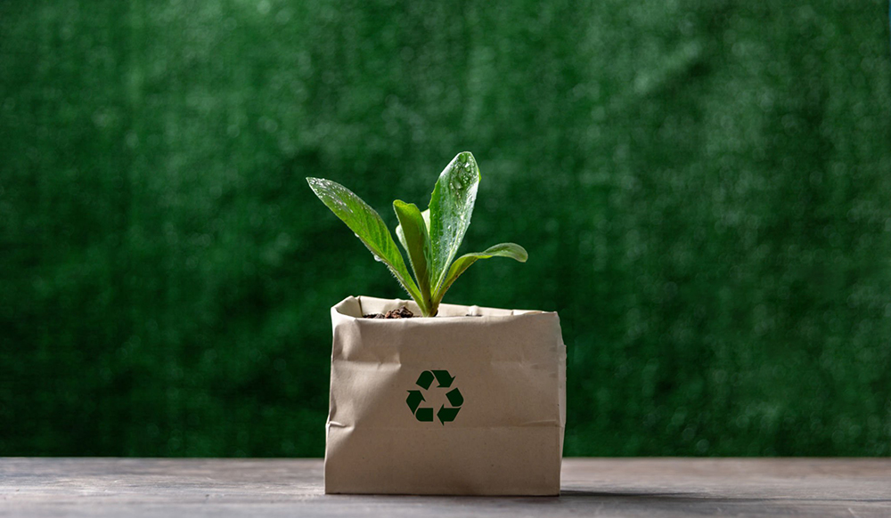 Adoptar La Sostenibilidad: Explorar Materiales Comunes En Envases Ecológicos