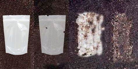 bolsas de pl&aacute;stico biodegradables