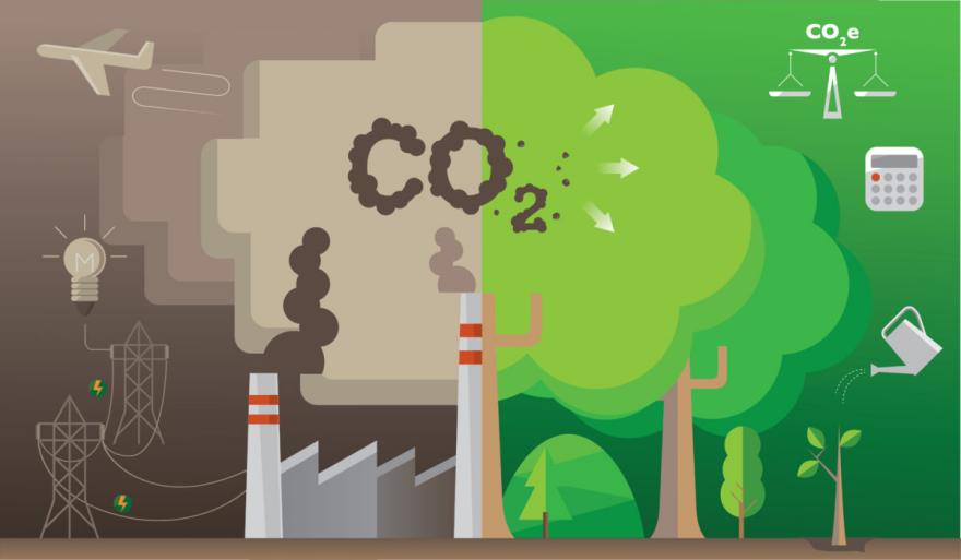 Carbono Neutral: Reduciendo la Huella de Carbono de los Envases