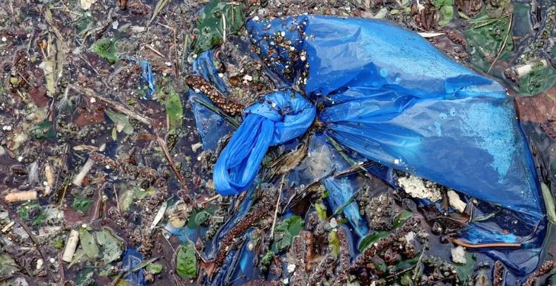 bolsas biodegradables de compost