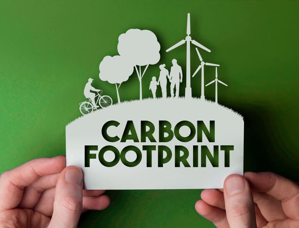 Embalaje ecológico para reducir la huella de carbono