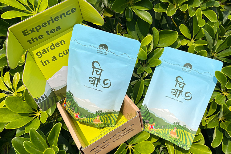 Bolsas de t&eacute; al por mayor