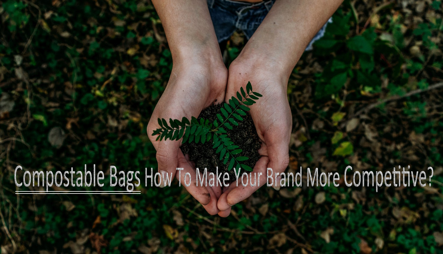 Bolsas compostables ¿Cómo hacer tu marca más competitiva?