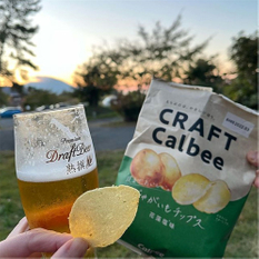 Bolsas de papas fritas biodegradables