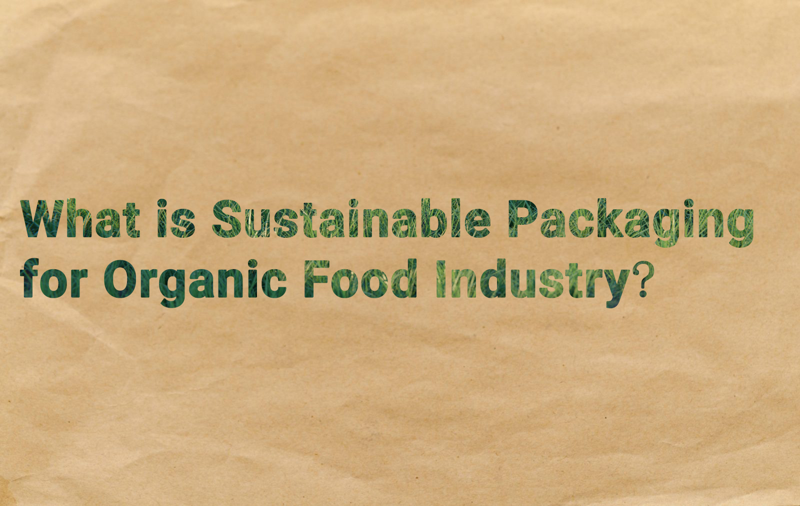 ¿Qué es el embalaje sostenible para la industria de alimentos orgánicos?